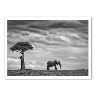 Affiche d’art 30 x 40 cm - Elephant Landscape - Mario  Moreno WALL EDITIONS