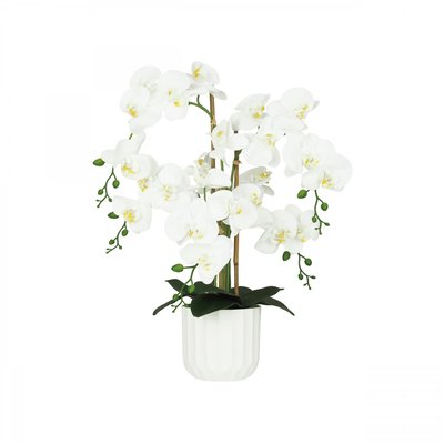 Orchidée artificielle toucher naturel 60cm LIGNE DECO