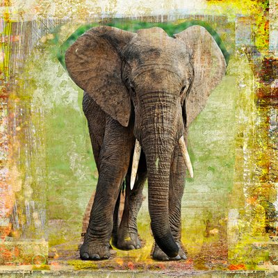 Tableau contemporain deco elephant HEXOA
