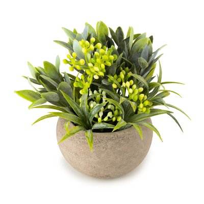 13.5cm Artificial Herb Plant in Paper-Maché Style Vase SO'HOME