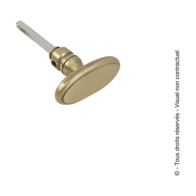 Bouton Corrèze Laiton Patiné BOUVET