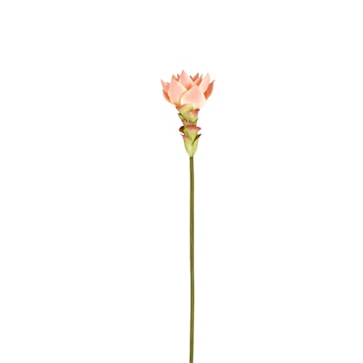 Tige de gingembre en fleur artificielle H48 MIAMI SIA