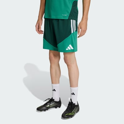 Short D'entraînement Algérie 26 adidas Performance