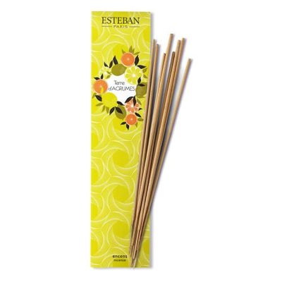 Parfum d'intérieur - Encens indiens terre d'agrumes ESTEBAN