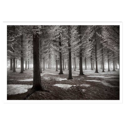 Affiche deco ""debut d'hiver"" HEXOA