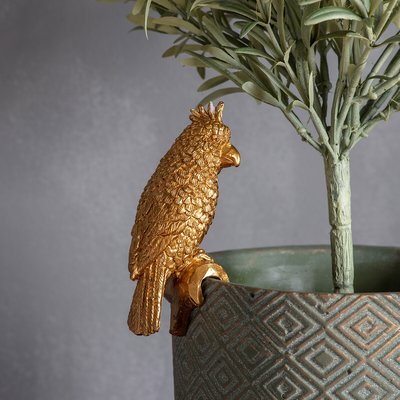 Set of 2 Parrot Pot Hangers SO'HOME