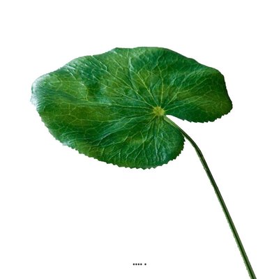 Feuille de galax artificielle D 18 cm vert ARTIFICIELLES