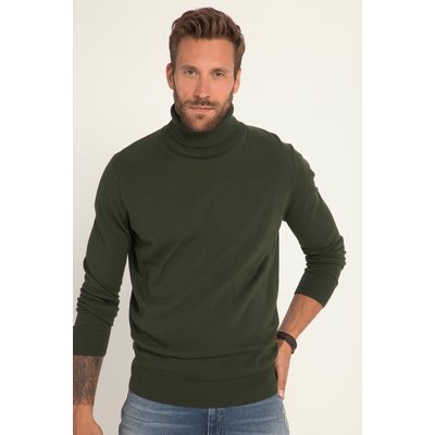 Pull à col roulé en maille fine JP1880