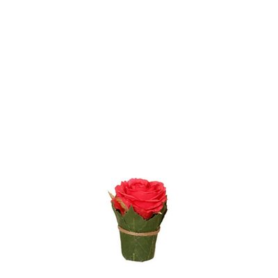 Composition de roses entourée de feuilles artificielles H9 SIA DECO