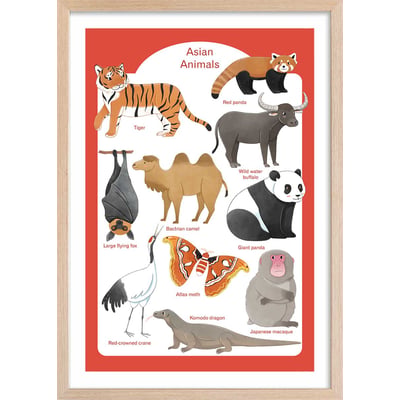 Affiche enfant animaux d' asie HEXOA
