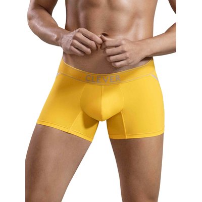 Boxer Imagination CLEVER