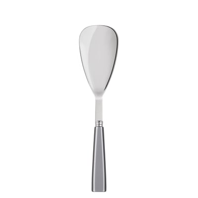 Cuillère à riz, Icône SABRE