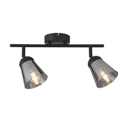 2 Light Spotlight Ceiling Light SO'HOME