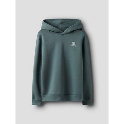 Sweat à capuche NAME IT NAME IT