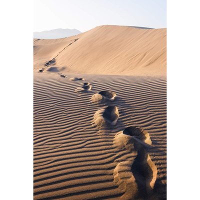 Tableau Mural Pas Sur Dunes GRANDS ESPACES CEANOTHE