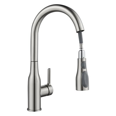 Mitigeur de cuisine avec douchette extractible Satiné Fanny DELINIA
