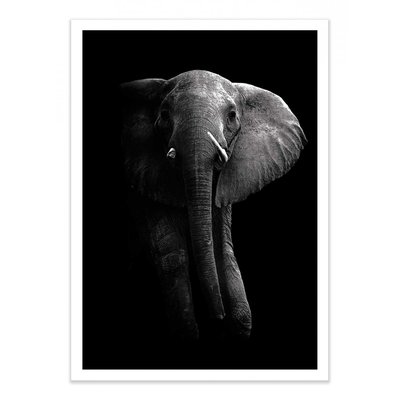 Affiche d’art 50 x 70 cm - Elephant WALL EDITIONS