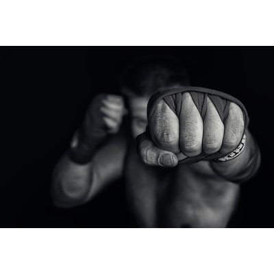 Tableau boxe left wing HEXOA