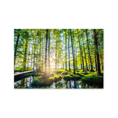 Tableau décoratif photo forêt - 100x80cm WADIGA