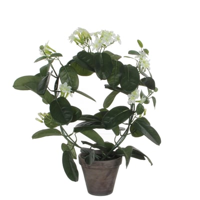 Plante artificielle STEPHANOTIS MICA DECORATIONS