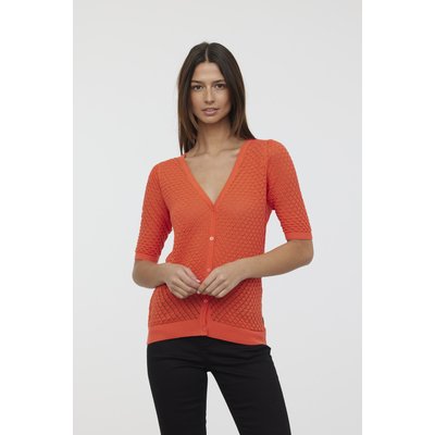 Pull manches 3/4 coton regular CANA LEE COOPER