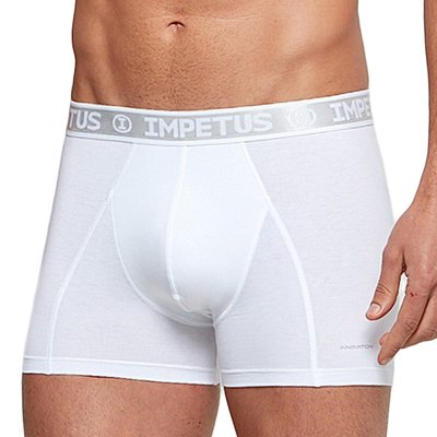 Boxer innovation REGULATEUR DE TEMPERATURE IMPETUS INNOVATION