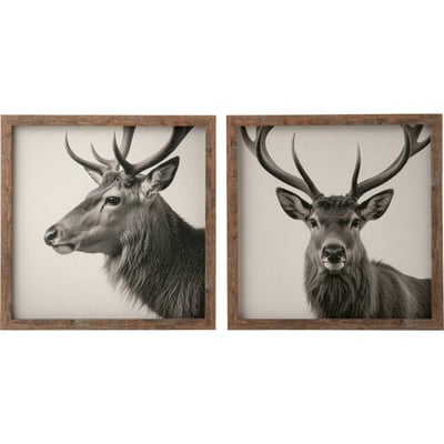 Tableau cerf encadré esprit chalet, Lot de 2 RECOLLECTION