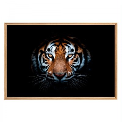 Tableau mural mat encadré regard tigre CEANOTHE