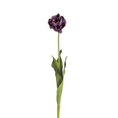 Tige de tulipe artificielle H71 SIA DECO