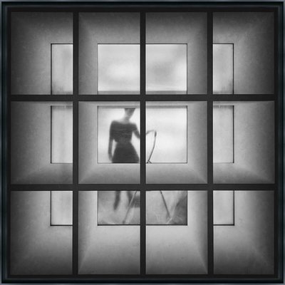 Tirage Encadré Sur Aluminium Mary On The Ladder TIRAGE D'ART CEANOTHE