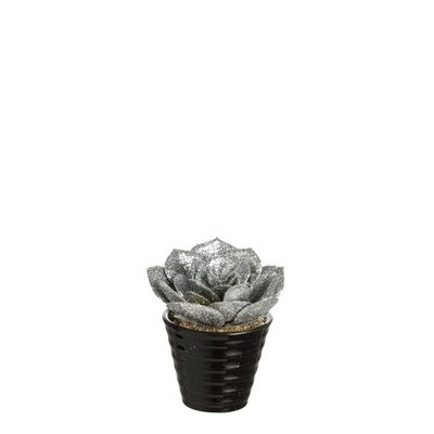 Succulente artificielle echeveria pailletée en pot H15 SIA DECO