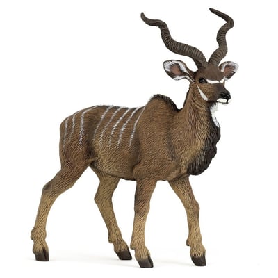 Antilope Koudou PAPO
