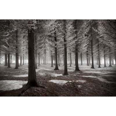 Tableau deco debut d'hiver HEXOA