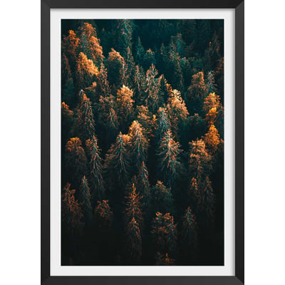 Affiche paysage couleur d'automne en haute savoie HEXOA