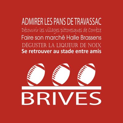 Tableau Mural Brives ILLUSTRATION CEANOTHE