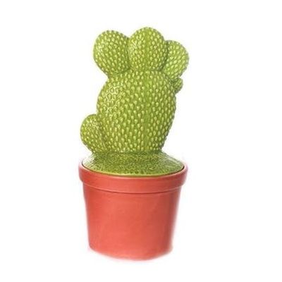 Cactus déco forme "main" dans son pot en terracotta 12,5X12,5X25cm PIER IMPORT
