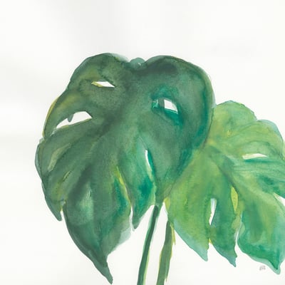 Tableau plante aloe watercolor HEXOA