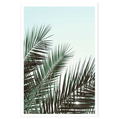 Poster palme verte HEXOA