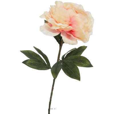 Pivoine artificielle crème Vert H 63 cm ARTIFICIELLES