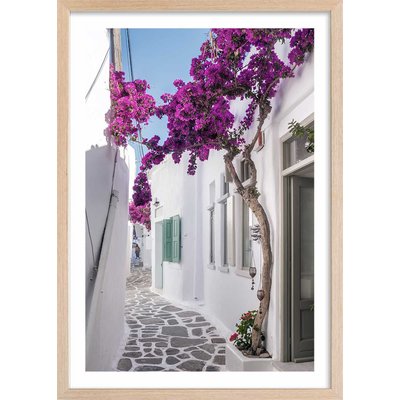 Poster bougainvilliers paros HEXOA