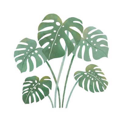 Stickers feuille de monstera YATSUNI LILIPINSO