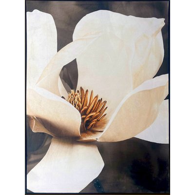 Tableau magnolia sur velours effet cadre élégant déco murale RECOLLECTION