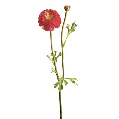 Tige de renoncule artificielle H36 SIA DECO