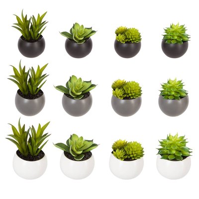 Plante grasse en pot de grès aimanté ATMOSPHERA