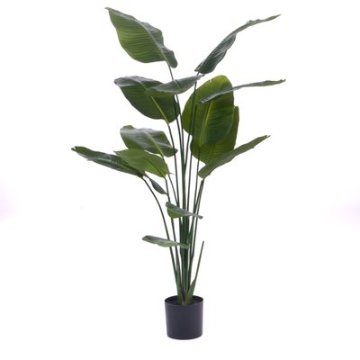 Oiseau du paradis en pot 190 cm AMADEUS
