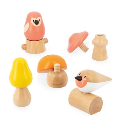 Oiseaux & Champignons A Visser JANOD