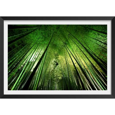 Affiche nature forêt de bambous à kyoto HEXOA