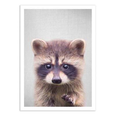 Affiche d’art 50 x 70 cm - Raccoon - Gal Design WALL EDITIONS