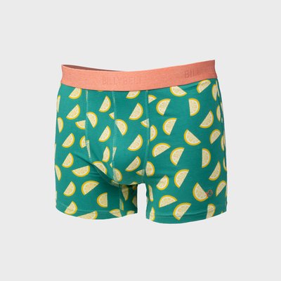 Boxer en coton biologique FANTAISIE BILLYBELT
