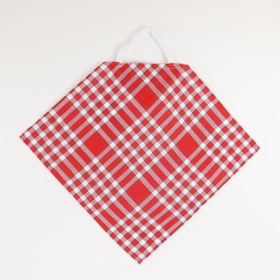 Lot de 2 bavoirs coton carreaux vichy CLEAN KID LINANDELLE